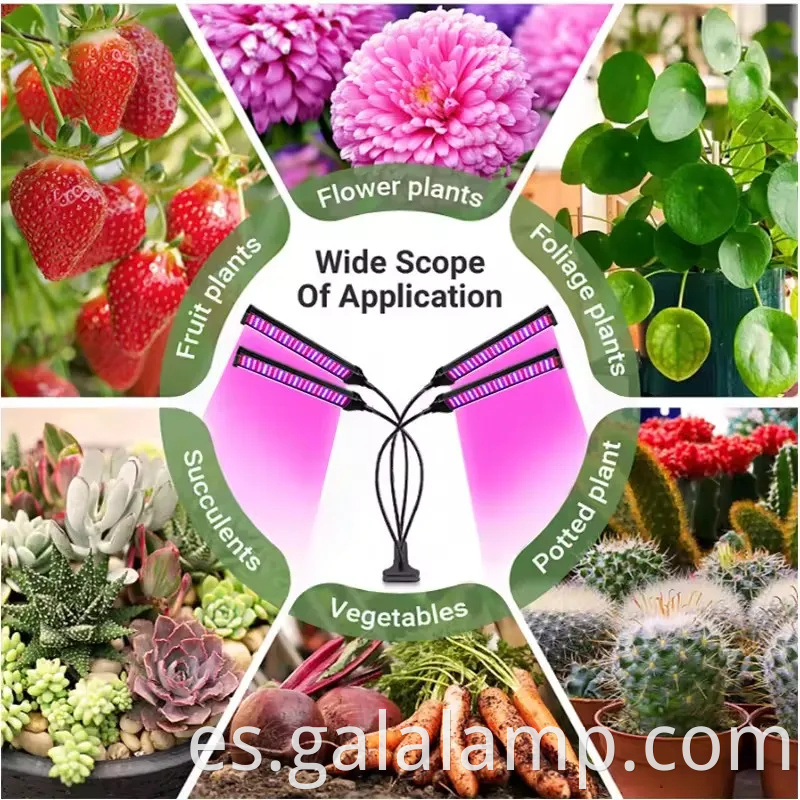 Luz de cultivo LED de clip ajustable con característica de relleno versátil